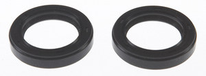 Picture of Victor Engine Camshaft Seal Kit