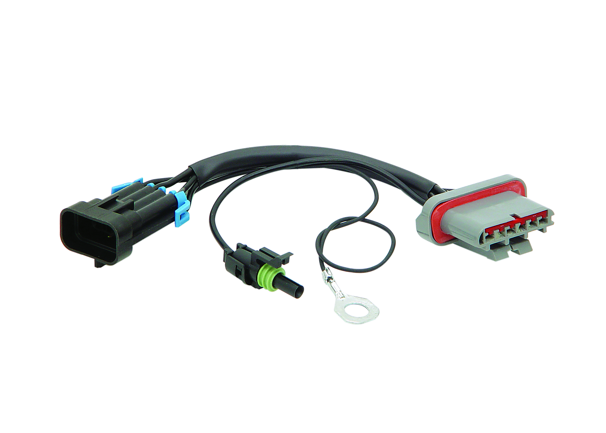 Accel 77660 Gen VII TFI Ignition Adapter Autoplicity