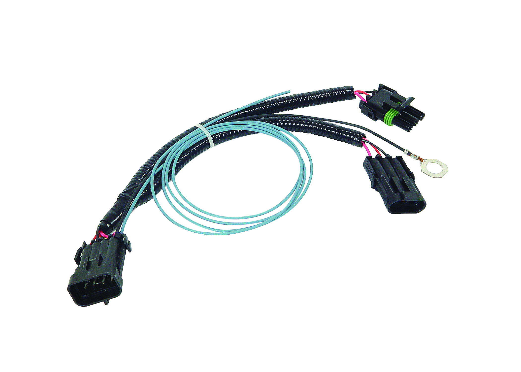 Accel 77101 DFI Dual Sync Ignition Adapter Harness Autoplicity