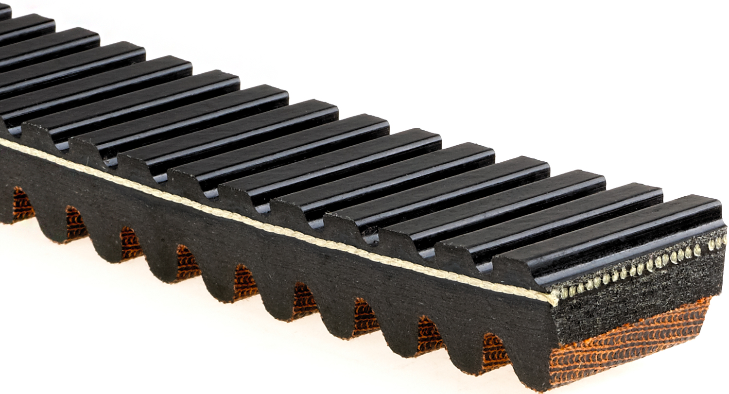 Gates Racing 20G4022 Gates 20g4022 GForce Recreational Belt Autoplicity