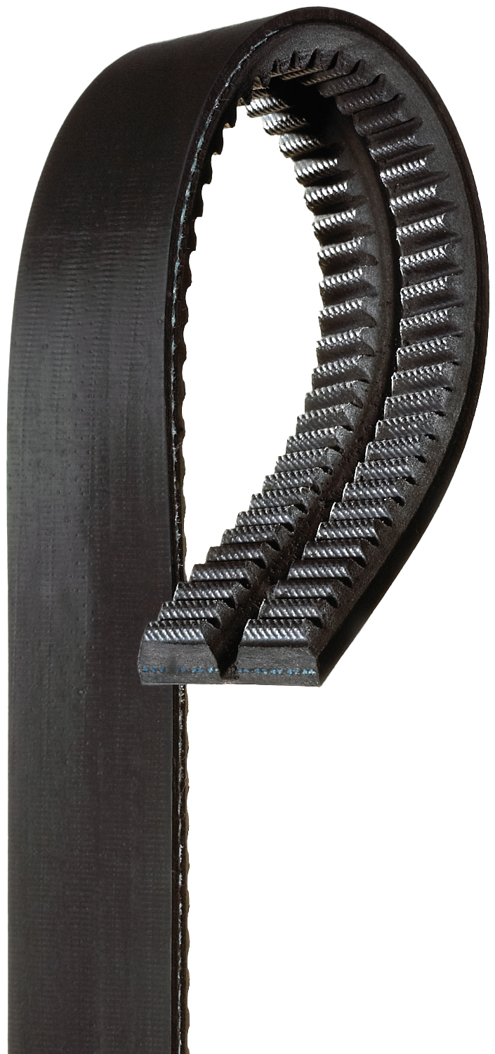 Gates 29555PB Green Stripe Powerband Belts Autoplicity