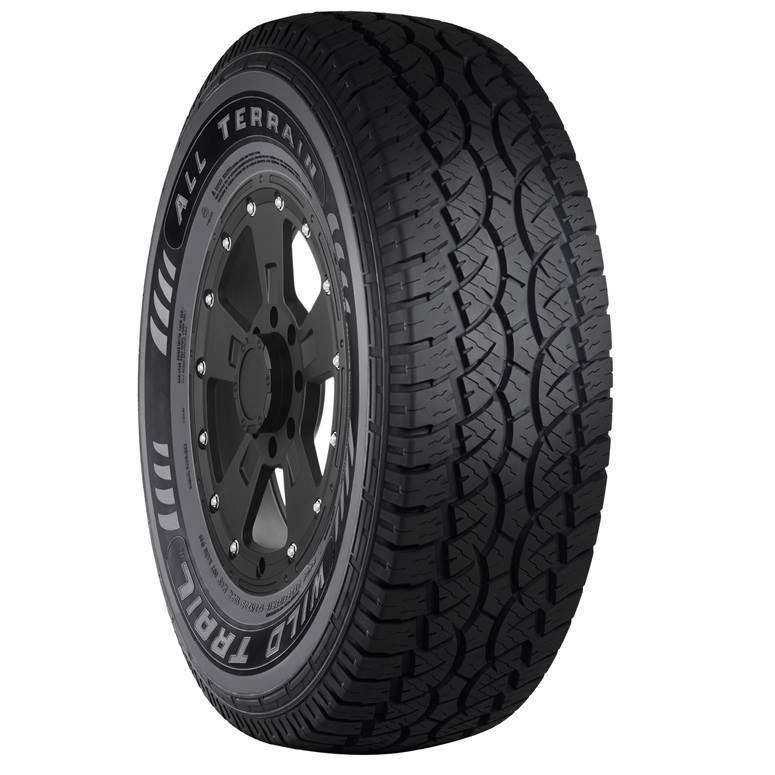 Eldorado Wild Trail CTX 295 70R17 121 118Q WCX21 Autoplicity