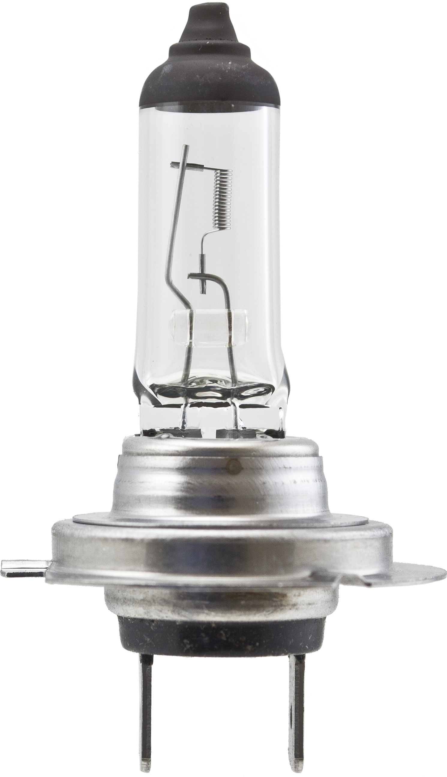 Hella H7 100W Bulb Autoplicity