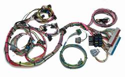 Painless Wiring 60522 Fuel Injection Wiring Harness Autoplicity