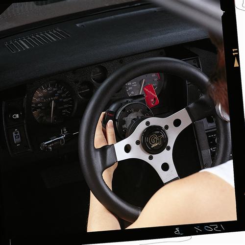 Grant Products 2001 Grant 2001 Vehicle Security System Autoplicity