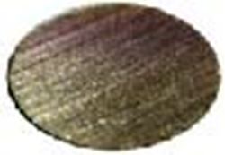 Picture of Scribner 6119 Funnel Filter (115 Mic)