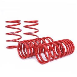 Skunk 2 519050005 Lowering Spring for Civic//Integra