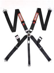 Picture of RaceQuip 742002 Harness - Camlock 5-Point