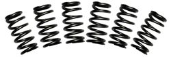 Picture of BD Diesel 1030060 Valve Spring Kit