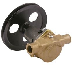 Picture of Sherwood Pump G21 Sherwood Pump For Pleasurecraft G21