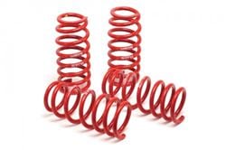 Picture of H&R Race Spring Kit