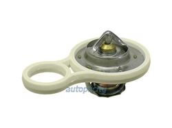 Picture of Wahler 11-53-7-596-787 Thermostat
