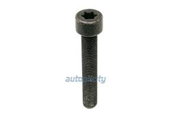 Picture of German 999-073-402-01 Brake Caliper Bolt