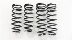 Picture of RS*R T284S Super Down Lowering Spring Set