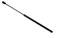 Picture of Sachs Sg304075 Lift Support