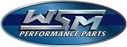 Picture of WSM 010-840PK Kawi 900 Std Platinum Piston