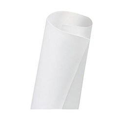 Picture of Dicor Corporation DFII85D21 Tpo 8'6' X 21'