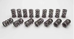 Picture of Manley 221452SF-16 1.550 Nextek Dual Valve Springs