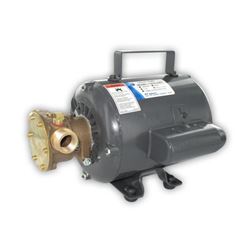 Picture of Jabsco 11810-0003 Jabsco Bronze Ac Motor Pump Unit 115 Vac