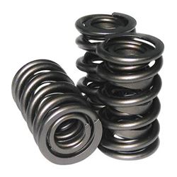 Picture of Howards Cams 98432 in our Valve Springs Department