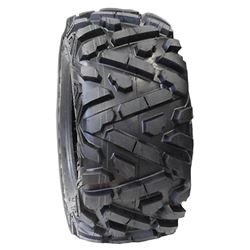 Picture of TracGard P350 R14 69F 30624001