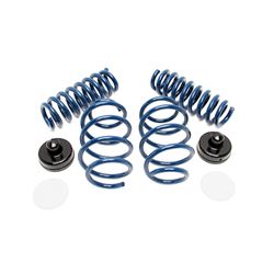 Picture of Dinan Performance Coil Spring Set
