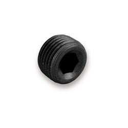 Picture of Earl's Performance Aluminum NPT Plug