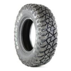 Picture of Kelly Safari TSR
