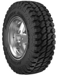 Picture of Achilles DESERT HAWK X-MT