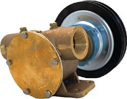 Picture of JOHNSON PUMPS 101302290 F8b-50017 1-1/2 Clutch Pump