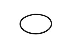 Picture of Ajusa 01056852 Egr Valve O Ring, 1 Pack