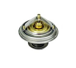 Picture of Wahler 11-53-1-710-953 71 Thermostat