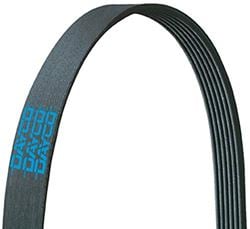 Picture of Dayco A060875 Dayco Poly Rib Poly Rib Belt (a060875)