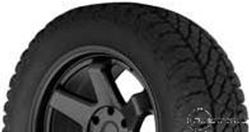 Picture of Wild Trail WTA67