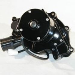 Picture of Meziere Enterprises WP311S Water Pumps - Electric
