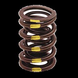 Picture of Isky Racing Cams 9915 Valve Springs