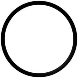 Picture of Stant Manufacturing 27290 Thermostat O-Ring
