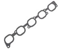 Picture of Elwis 02.555.72 Intake Gasket