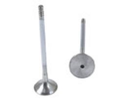 Picture of Osvat 0970BMBC Exhaust Valve