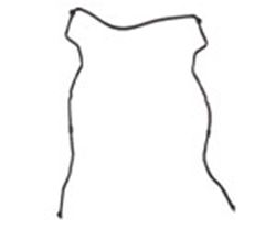 Picture of Eurospare NCA2127AC Timing Cover Gasket