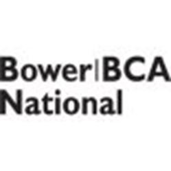 Picture of BOWER A36 Bearing