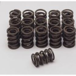 Picture of Crower 68340-16 in our Valve Springs Department