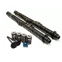 Picture of Isky Racing Cams 9998-RAD Valve Springs