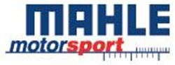 Picture of MAHLE 4035ML-043 4.030"+.005" .043", .043", 3.0mm File Fit