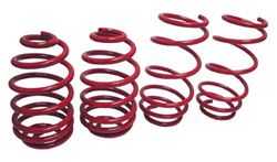 Picture of Megan Racing MR-LS-SA9304 Lowering Springs Euro Version