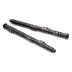 Picture of Skunk2 305-05-0140 Tuner-Series Camshafts