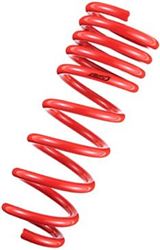 Picture of Tanabe TDF153 Springs - DF210