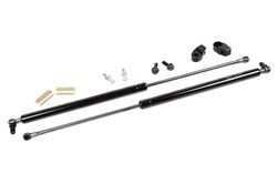 Picture of Grimmspeed 097016 Hood Struts
