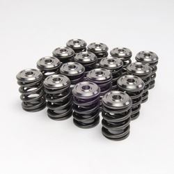 Picture of Skunk2 308-05-1300 Alpha Series Ti Retainer Kit