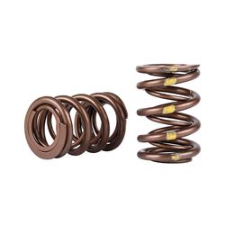 Picture of Skunk2 311-05-7350 Pro-Series XP Racing Valve Springs